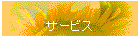 T[rX